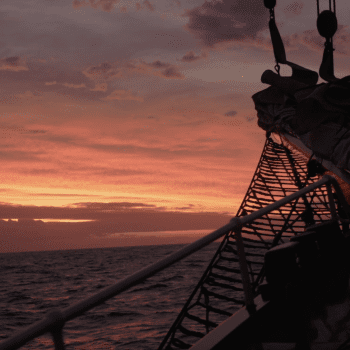 Daily Dive # 226 | Darwin200 Leg 29: Cape Town to St Helena